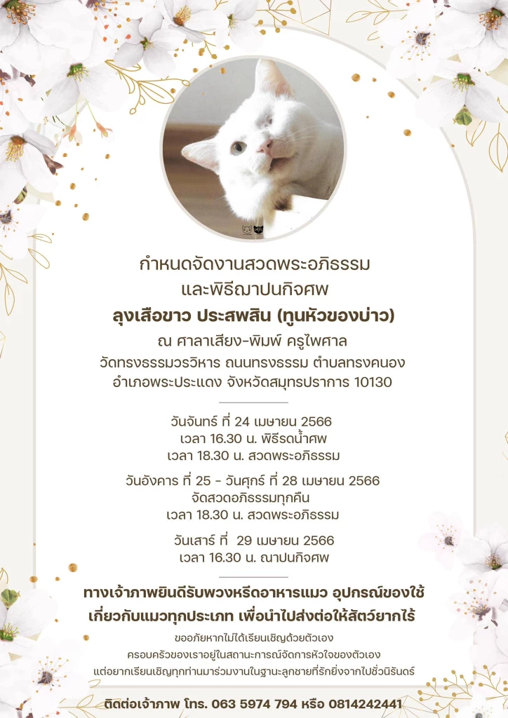เศร้าเกินจะบรรยาย เพจทูนหัวของบ่าว แจ้งข่าว \"เสือขาว\" กลับดาวแมวแล้ว
