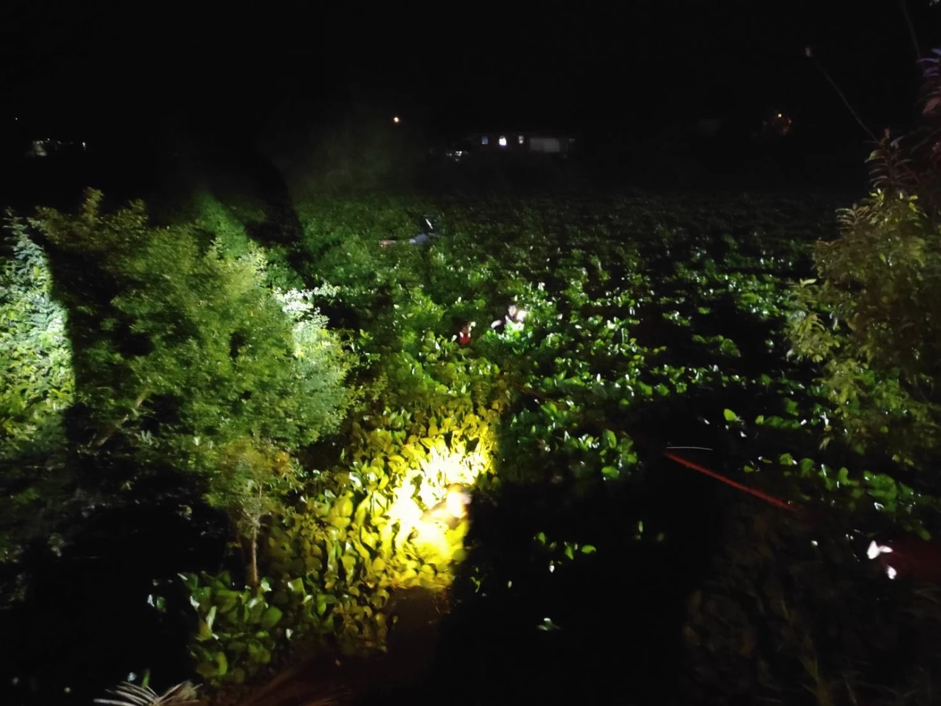 ระทึก! หนุ่มซิ่งเจ็ตสกีไปกินข้าว พลาดท่าติดกอผักตบชวา นานกว่า 4 ชม.