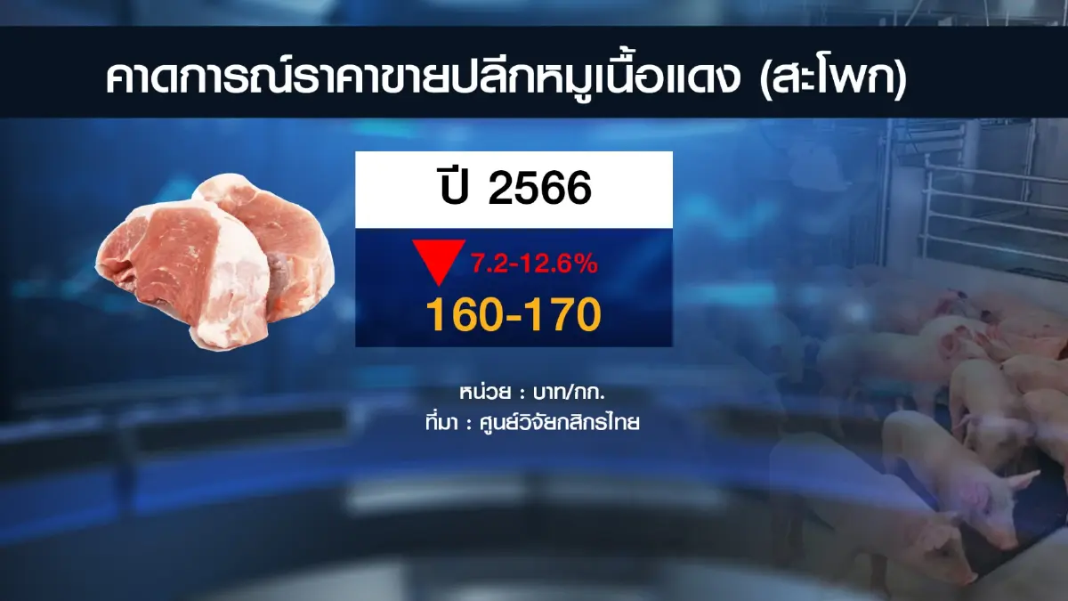 ผู้เลี้ยงหมูอ่วม หลายปัจจัยรุมเร้า 'ราคาดิ่ง-ต้นทุนพุ่ง'