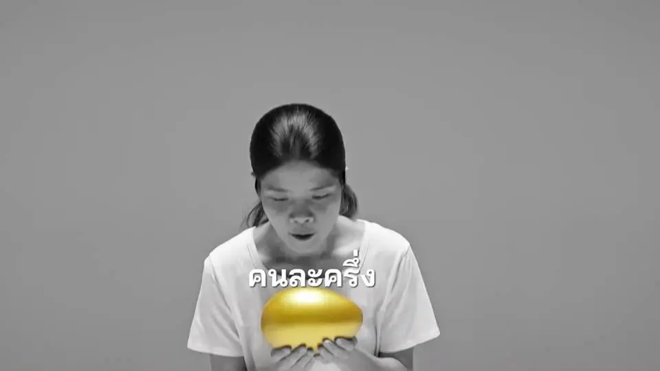 "รทสช." ปล่อยคลิป "ห่าน" สะท้อนนโยบายช่วยปชช.พุ่งเป้าไม่หว่านแห (มีคลิป)