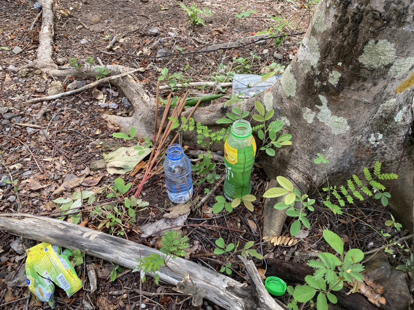 ตร.เค้นสอบ มือฆ่าหนุ่มลูกครึ่ง - อังกฤษ หลังยังปิดปากเงียบที่อยู่เพื่อนสาว