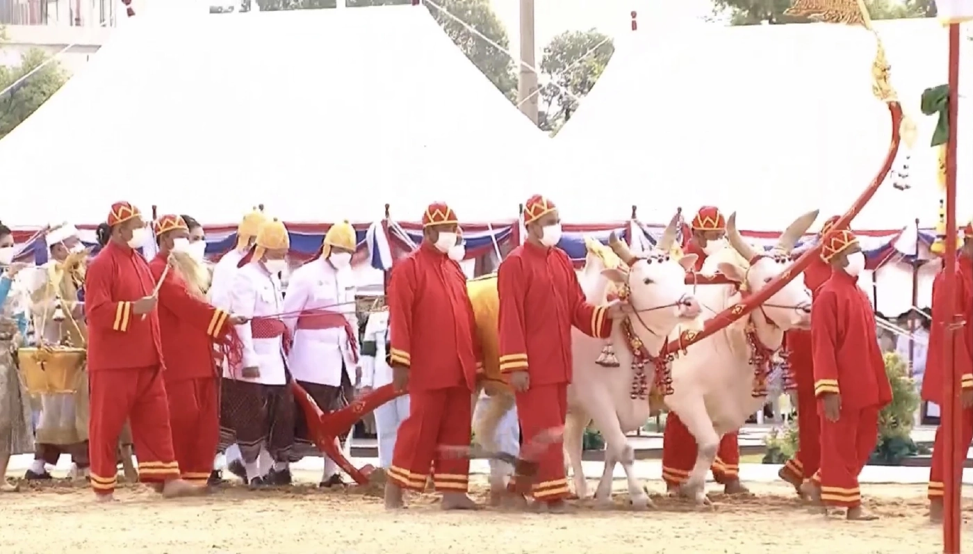 เปิดคำเสี่ยงทายผ้า และ "พระโค"กินเลี้ยง ในวันพืชมงคล 2566