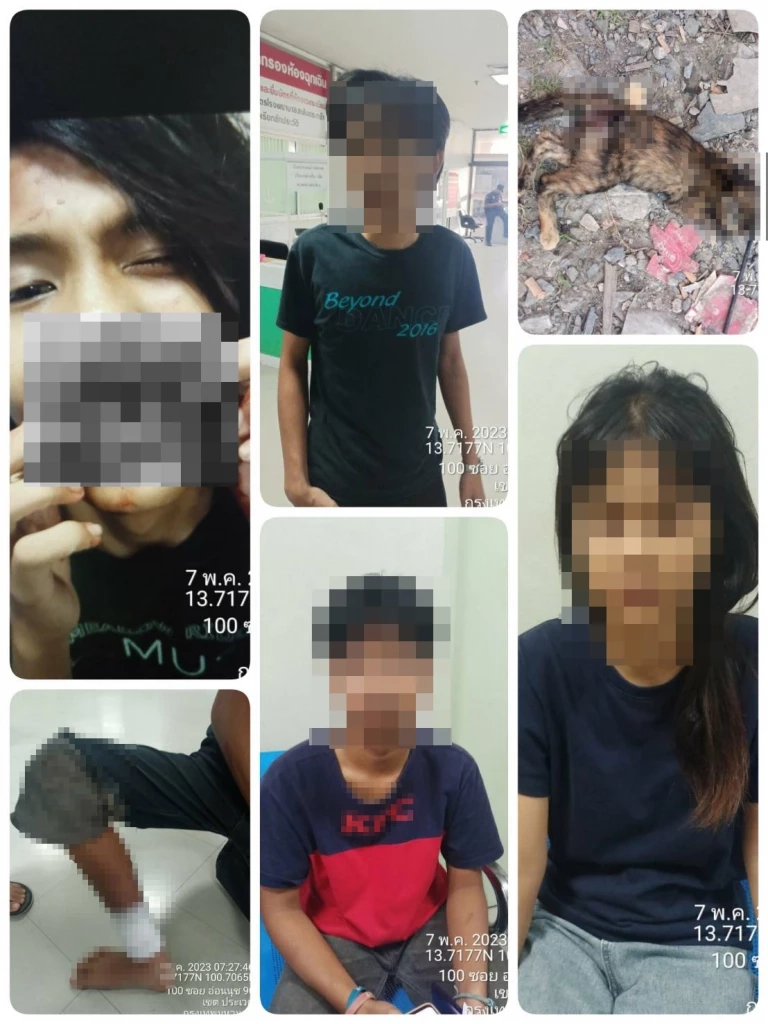 รวบ 1 ใน 3 ถล่มระบายแค้น อริ 5 รายเจ็บ แมวโดนลูกหลงอีก 1 ตัว