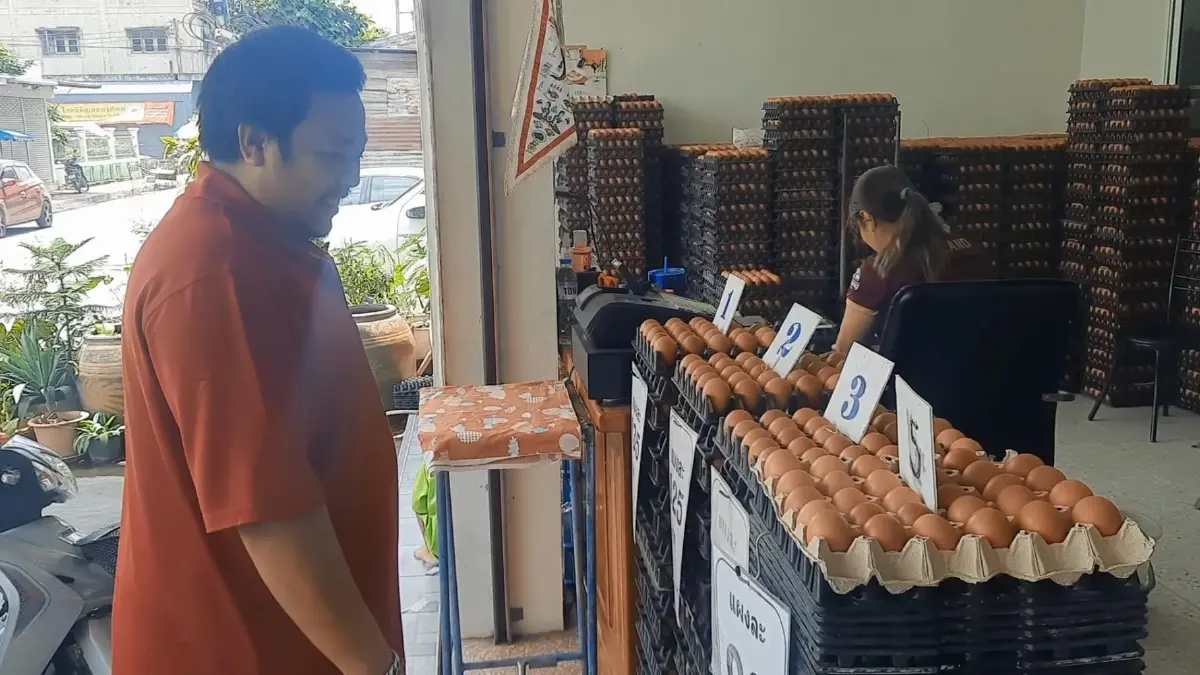 ต้อนรับรัฐบาลใหม่ ราคาไข่ไก่อุทัยธานีขึ้น ชาวบ้านทยอยซื้อตุนไว้ก่อน