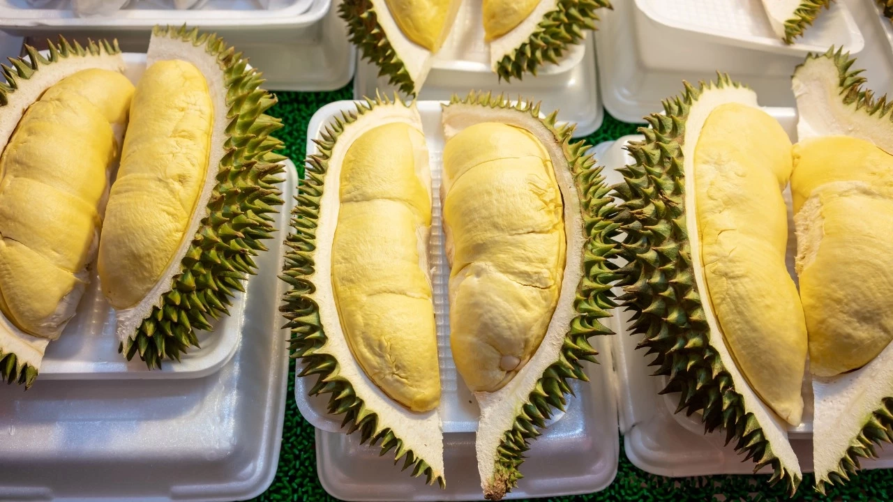 เปิดอาชีพใหม่ ริว อาทิตย์ หลังผันตัวไปเป็นพ่อค้า แฟนๆ แห่อุดหนุนแน่นทีเดียว