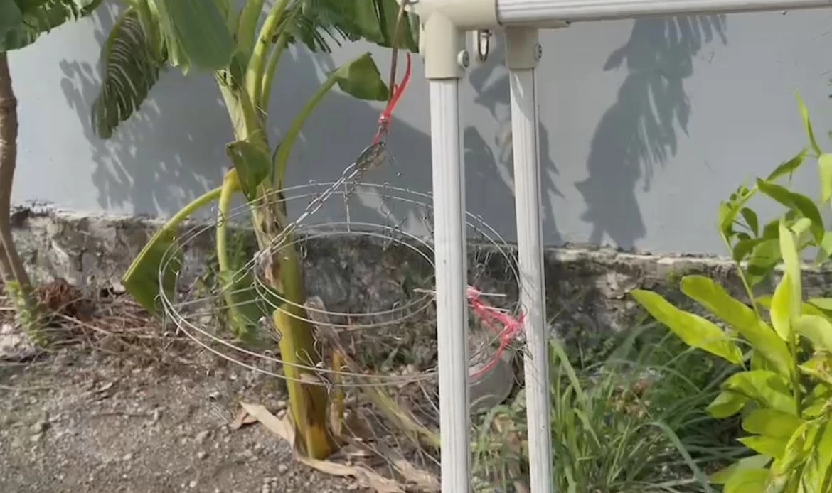 หญิงวัย 79 ปี สุดทน ถูกคนร้ายขี่จยย. ฉกกางเกงในต่อหน้า วอน ตร.เร่งจับ