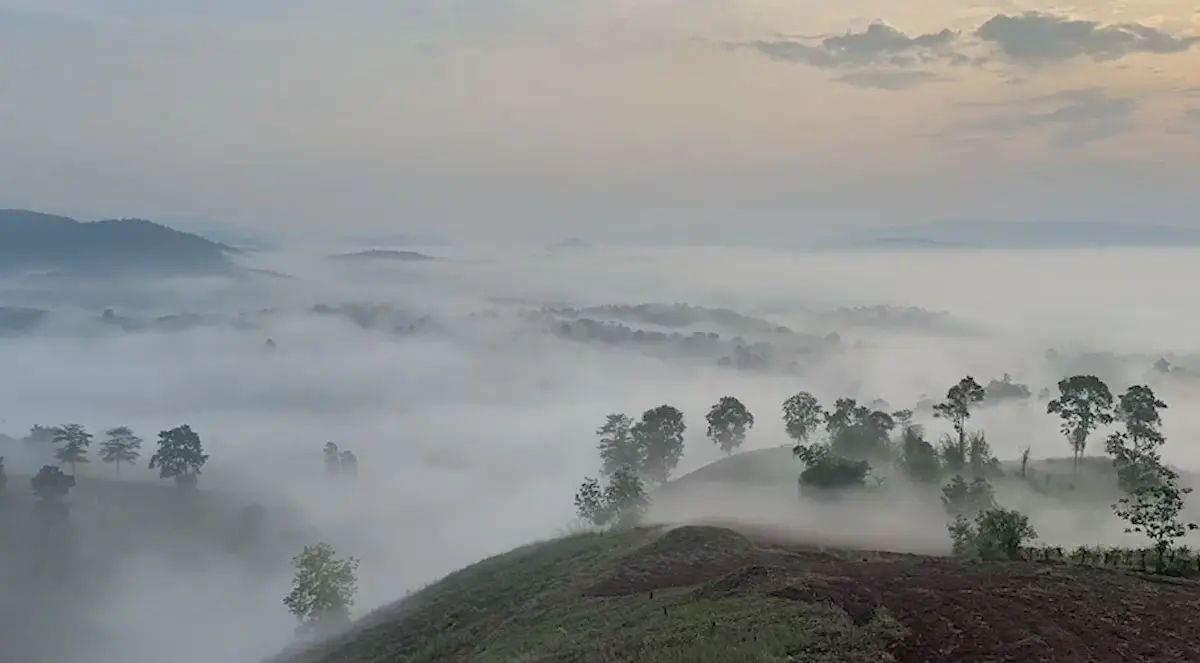 เปิดภาพ ภูค้อ นาแห้ว สวรรค์บนดิน ชมทะเลหมอก หลังเกิดไฟป่า