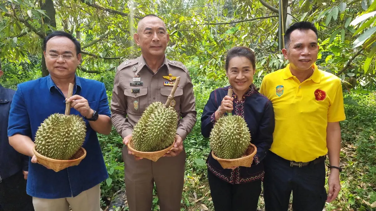ทุเรียนนนท์ดุ! ผบช.ภ.1 - ผู้ว่าฯ นนท์ ร่วมพิธีตัดผลผลิตปฐมฤกษ์ เจ็บตัวคู่