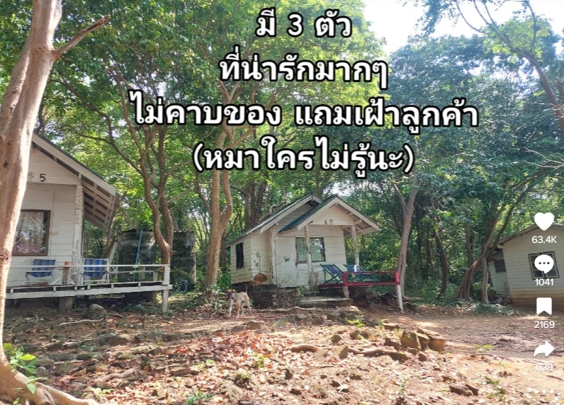 สาวรีวิวที่พักเกาะเสม็ดราคาถูกมาก คืนละ 800 แต่สภาพห้อง มันเกินไปไหม?