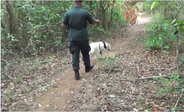 ตร.เร่งปูพรมค้นหา "น้องปิงปอง" เพื่อนสาวหนุ่มลูกครึ่ง 5 วันยังไร้วี่แวว