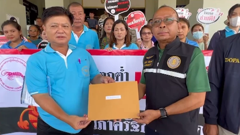 เกษตรกรกุ้งกระบี่โอด ราคากุ้งร่วงหนัก เหลือ กก.ละ 40 บาท ขอรัฐบาลเร่งช่วย