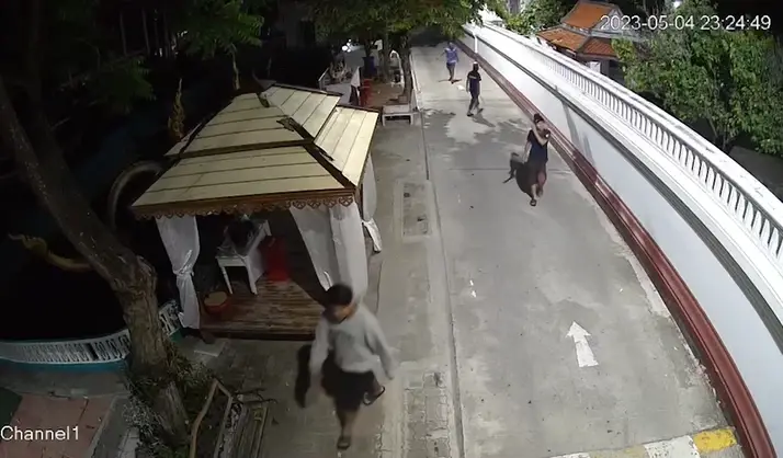"พระ - เณร" ผวาหนัก โจ๋ยึดวัดเป็นสนามรบยามค่ำคืน ปืน มีด ระเบิดมาครบ (มีคลิป)