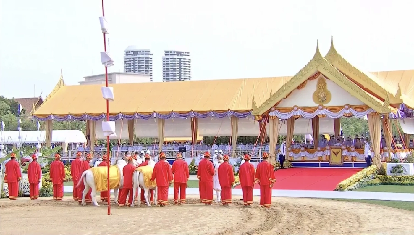 เปิดคำเสี่ยงทายผ้า และ "พระโค"กินเลี้ยง ในวันพืชมงคล 2566