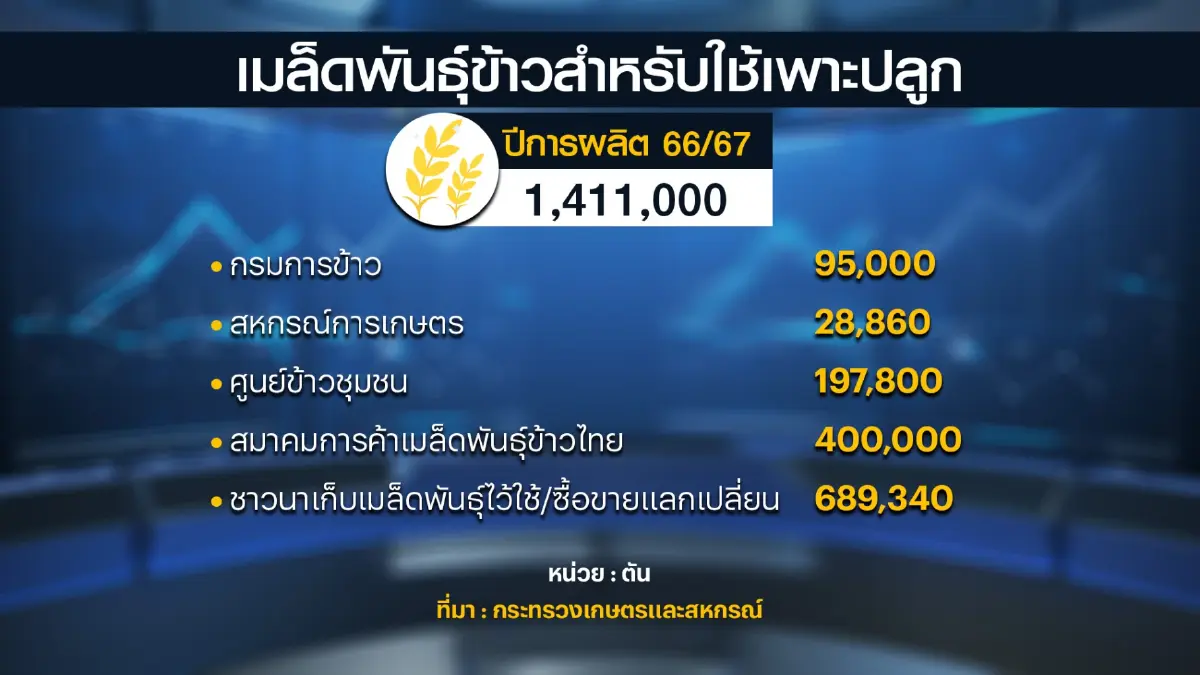 เกษตรฯตั้งเป้าหมายผลิต 'ข้าว' 31.6 ล้านตัน