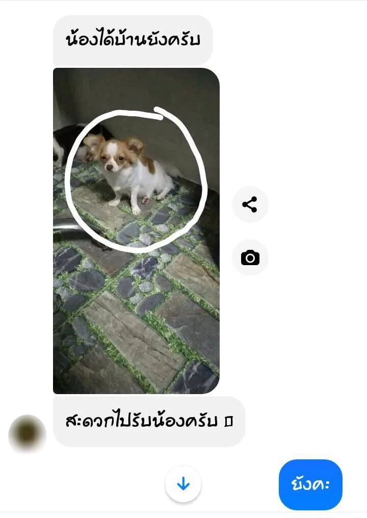 "กัน จอมพลัง" พาสาวลูกครึ่ง แจ้งจับแฟนหนุ่ม ทำร้ายร่างกาย-บังคับกินขี้หมา