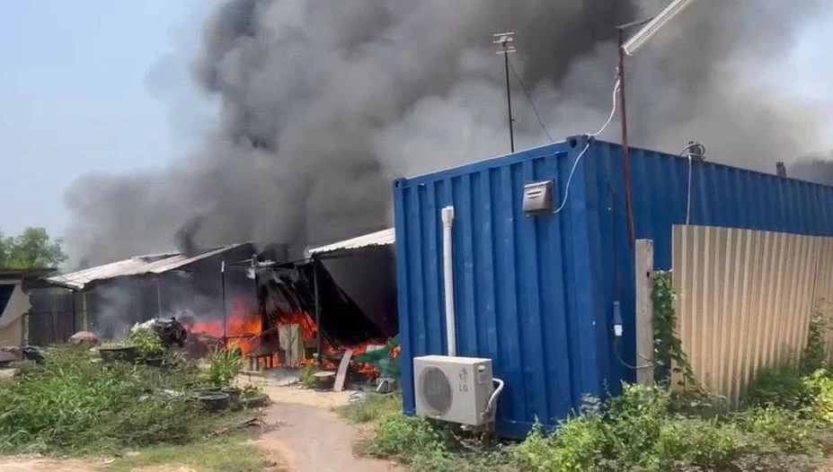 เจ้าของใจสลาย เพลิงไหม้ห้องพักคนงาน แมวเปอร์เซีย ถูกไฟคลอกตาย 2 ตัว