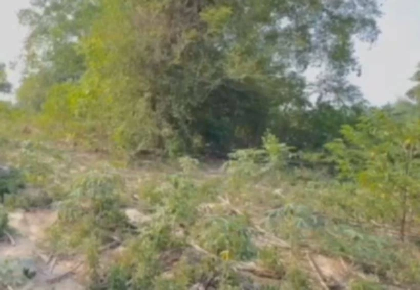 บริเวณจุดที่พบร่างผู้เสียชีวิต