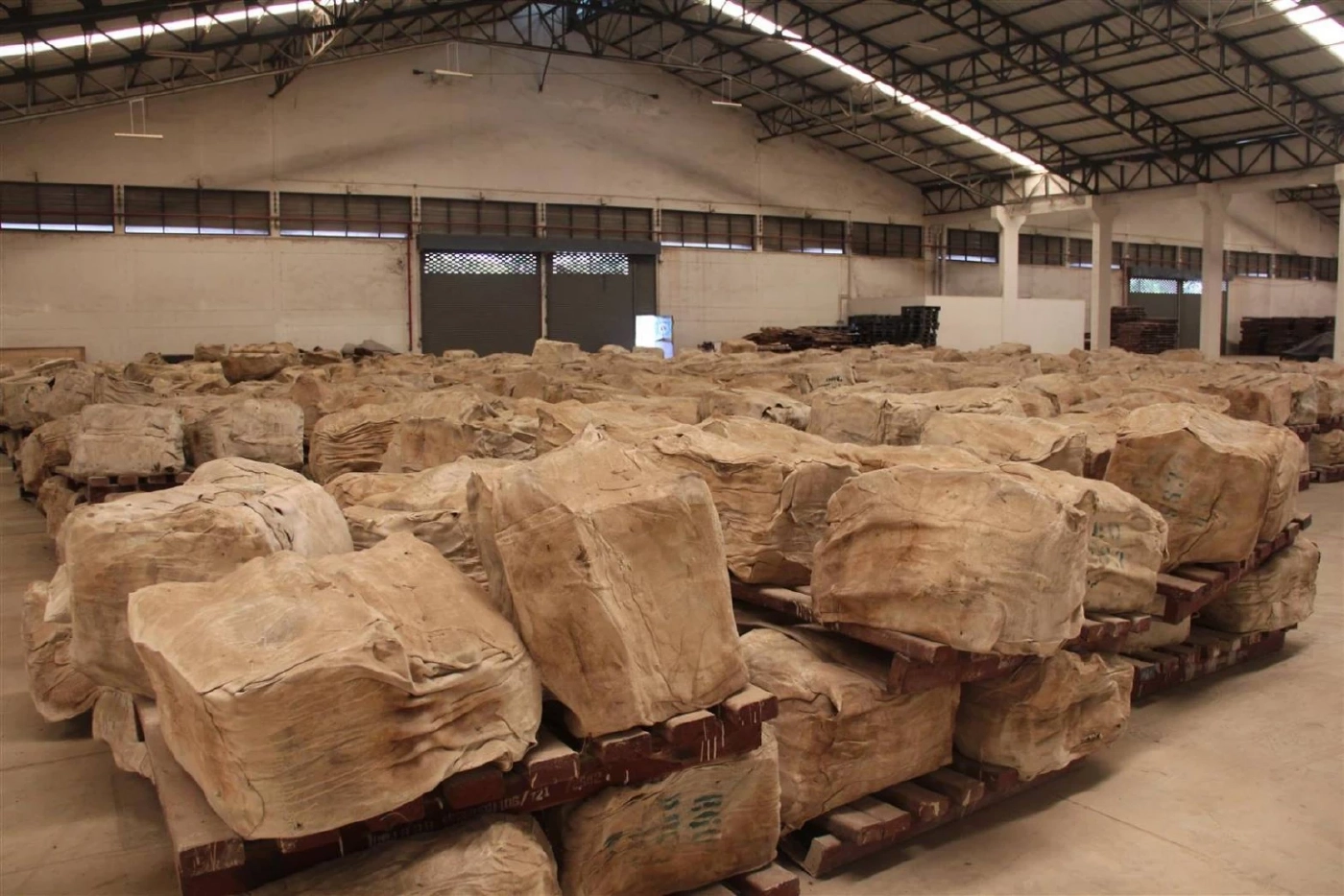 กยท. พลิกโฉมตลาดประมูลยางสู่ Digital Platform ผ่าน Thai Rubber Trade