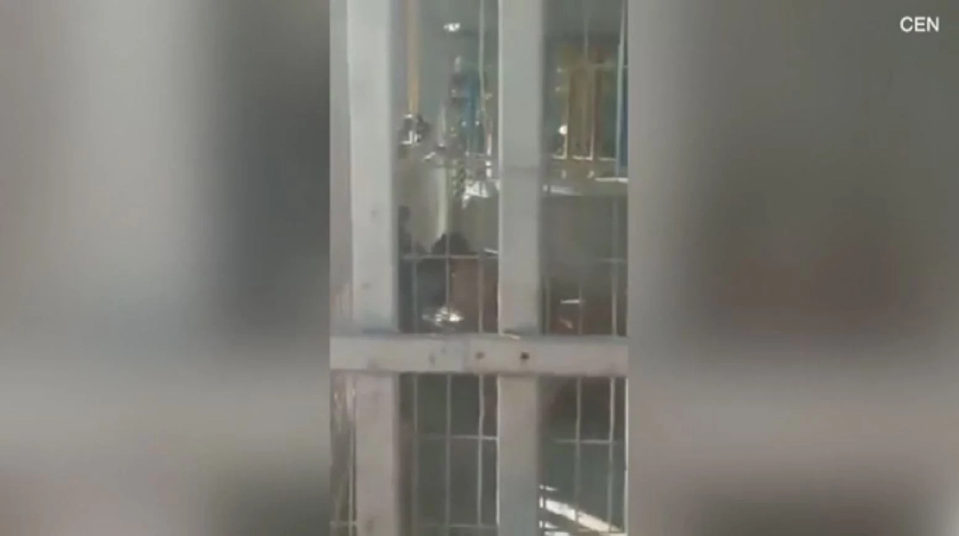 เด็กปาเลสไตน์ถูกสิงโตสวนสัตว์ขย้ำเสียชีวิต (คลิป)