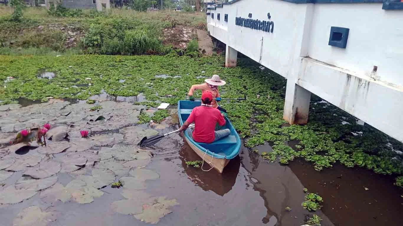 ชาวบ้านวอนตรวจสอบ ปลาตายเกลื่อน ในสระน้ำริมถนนกลางเมืองสระแก้ว