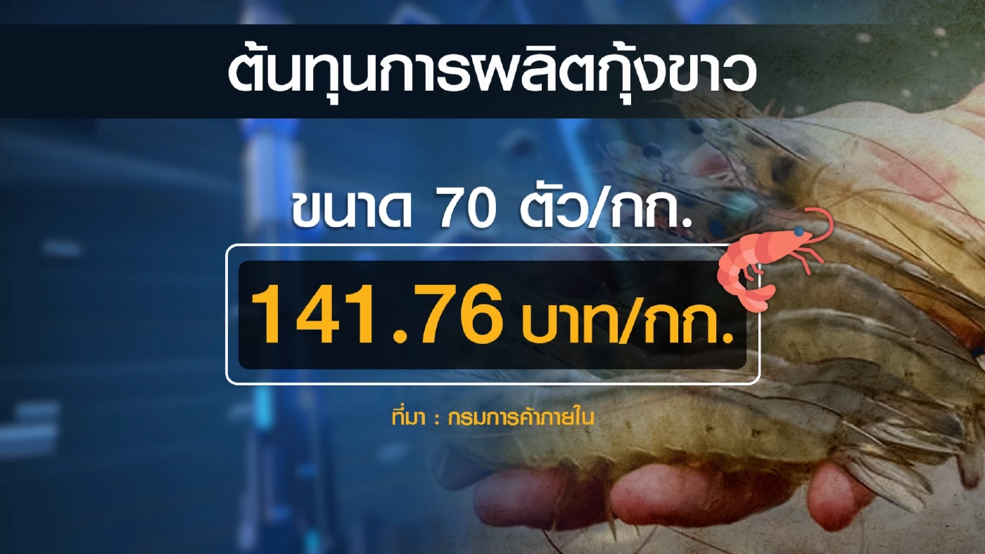 พาณิชย์ชี้แจงข่าว กุ้งกระบี่ราคาตก 40-50 บาท/กก.