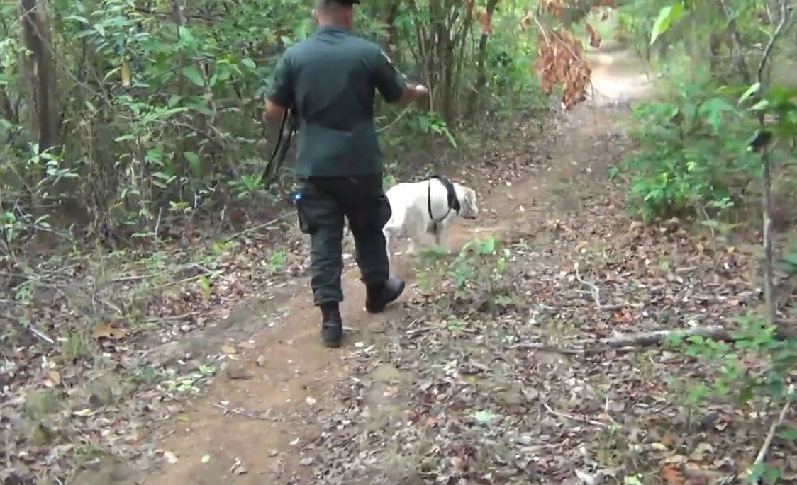 ตชด. พร้อมสุนัขดมกลิ่น ปูพรมค้นหาน้องปิงปอง ยังไม่ทราบชะตากรรม