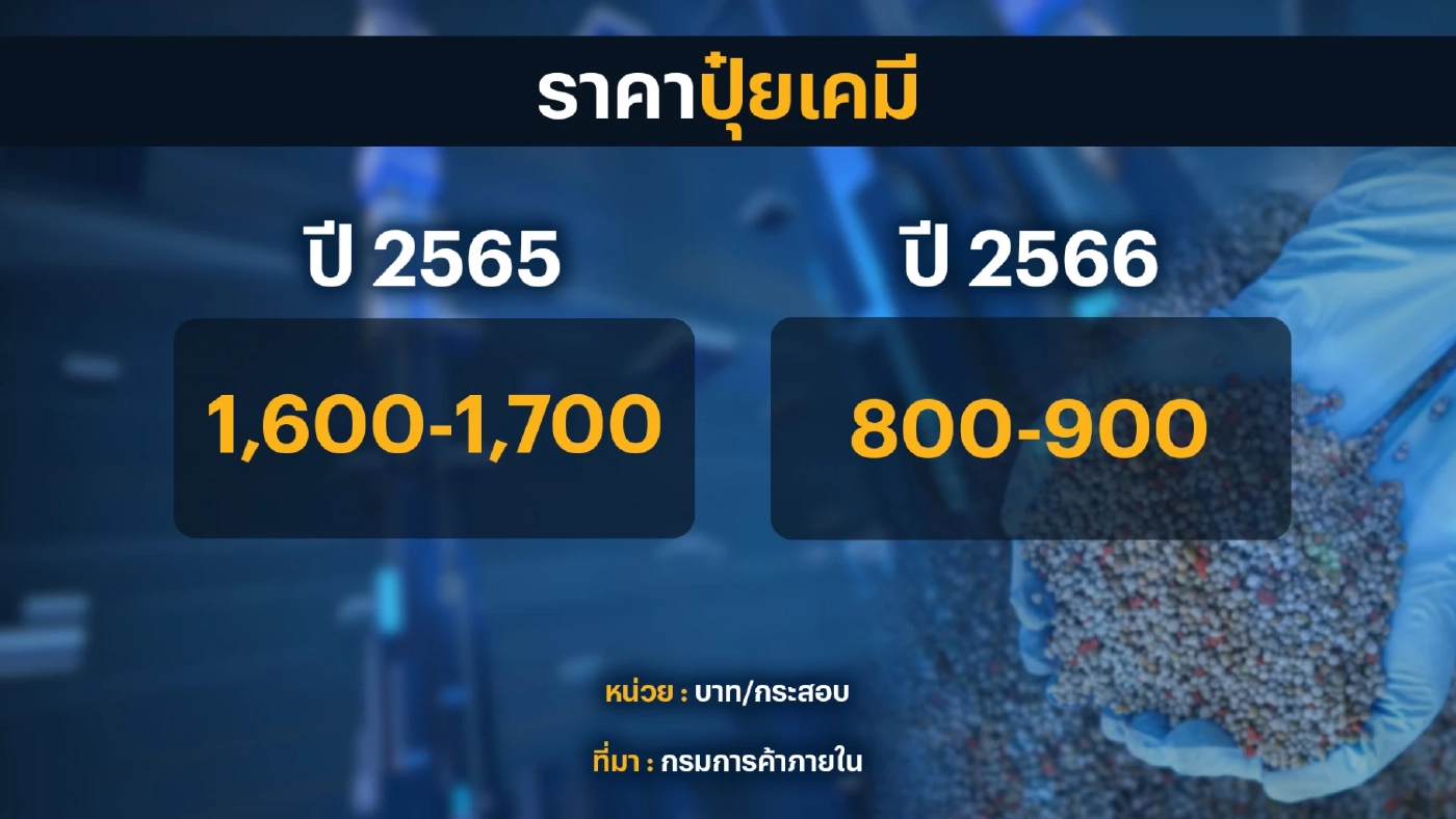 ข่าวดีเกษตรกร 'ปุ๋ย' ราคาลง และเพียงพอต่อความต้องการ