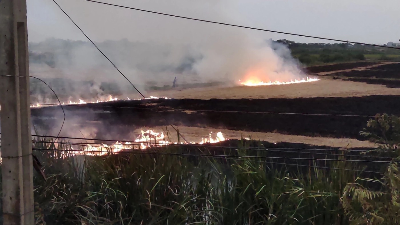 บอกแล้วห้ามเผา ชาวนาสุพรรณเผาฟางข้าวข้างทาง ควันตลบถนนรถชนกันยับ