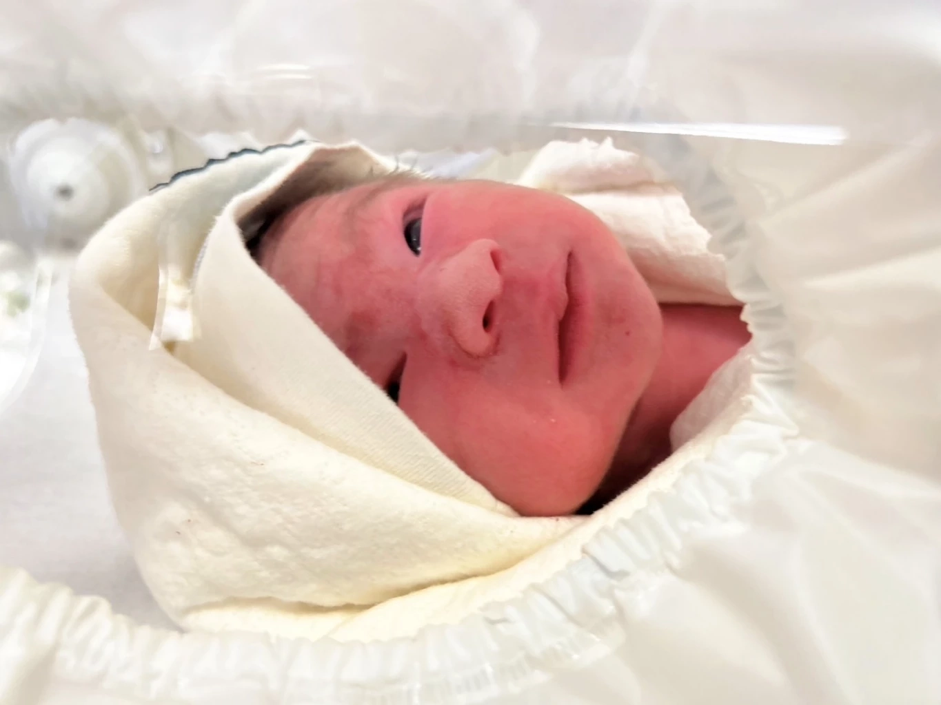 "ยายปู" โพสต์แสดงความยินดีหลานชาย "น้องธาษิณ" ระบุ ตา-อารอไม่ไหวที่จะอุ้ม