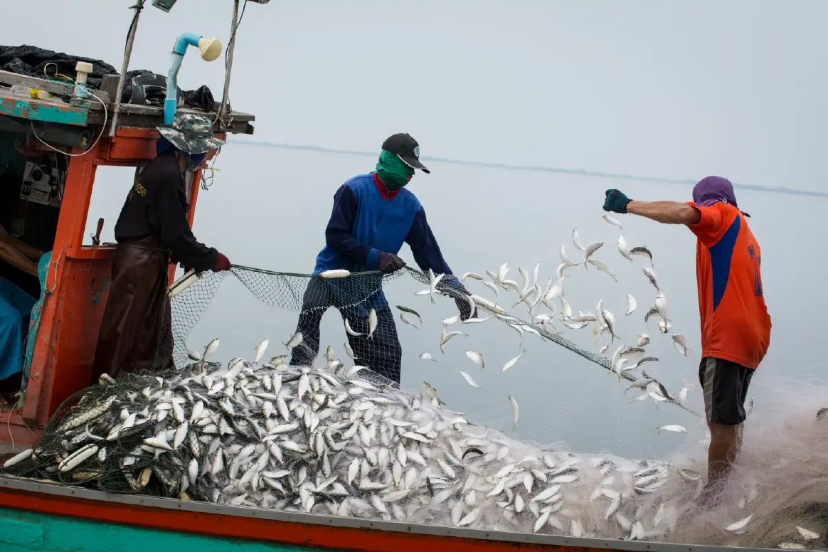 ไทยเจ๋ง ! ดัชนีราคาผู้ผลิตต่ำเป็นอันดับที่ 16 ของโลก แนะเร่งส่งออก