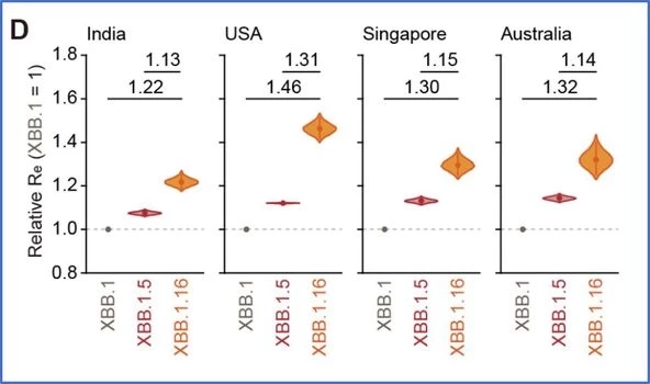 "หมอธีระ" เผยผลการศึกษา โอมิครอนสายพันธุ์ย่อย XBB.1.16 ล่าสุดจากญี่ปุ่น   