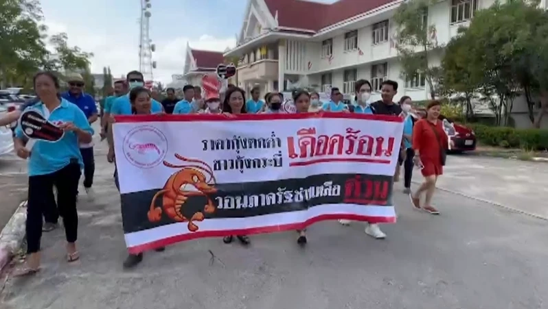 เกษตรกรกุ้งกระบี่โอด ราคากุ้งร่วงหนัก เหลือ กก.ละ 40 บาท ขอรัฐบาลเร่งช่วย