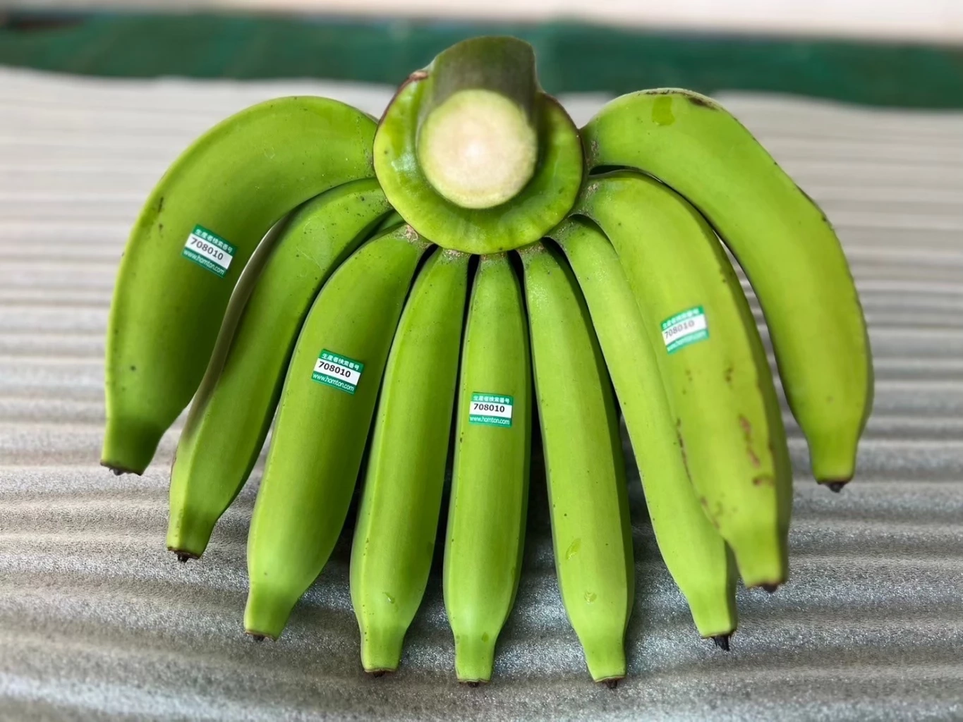 “กล้วยหอมทองหนองบัวแดง” สินค้า GI ตัวล่าสุด ดันส่งออกไปตลาดญี่ปุ่น