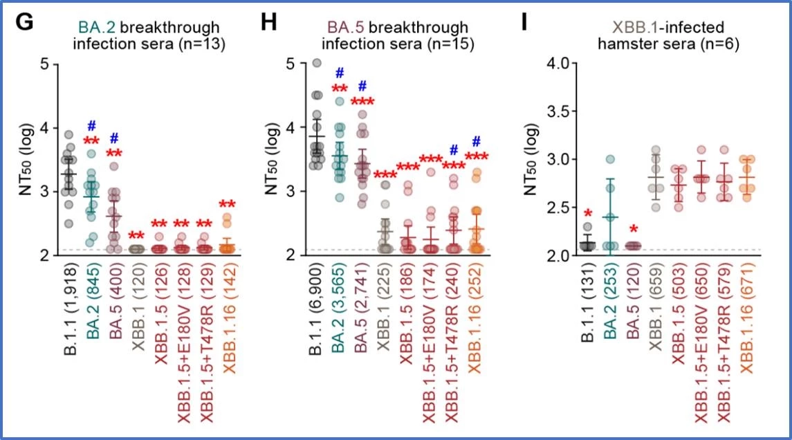 "หมอธีระ" เผยผลการศึกษา โอมิครอนสายพันธุ์ย่อย XBB.1.16 ล่าสุดจากญี่ปุ่น   