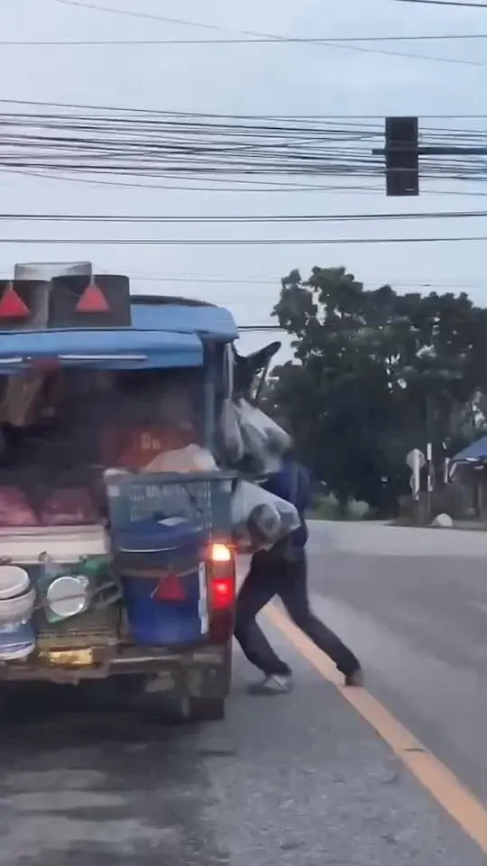 พ่อค้าพุ่มพวงร้อง ถูกกระบะหัวร้อน รัวหมัดใส่กลางถนน ปมคิดว่าบีบแตรไล่