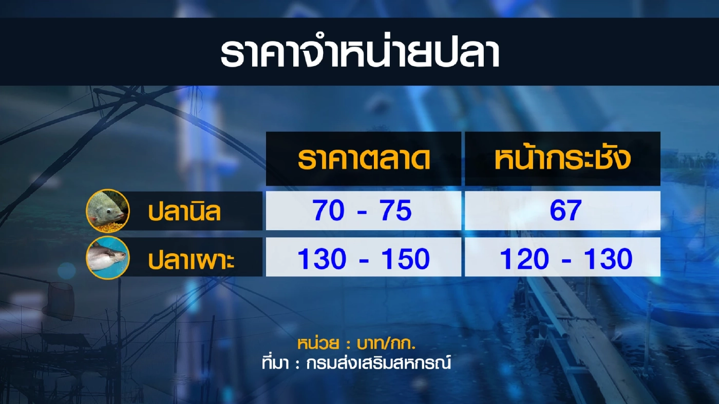 สหกรณ์นครพนมหนุนเลี้ยง 'ปลาเผาะ' แก้หนี้