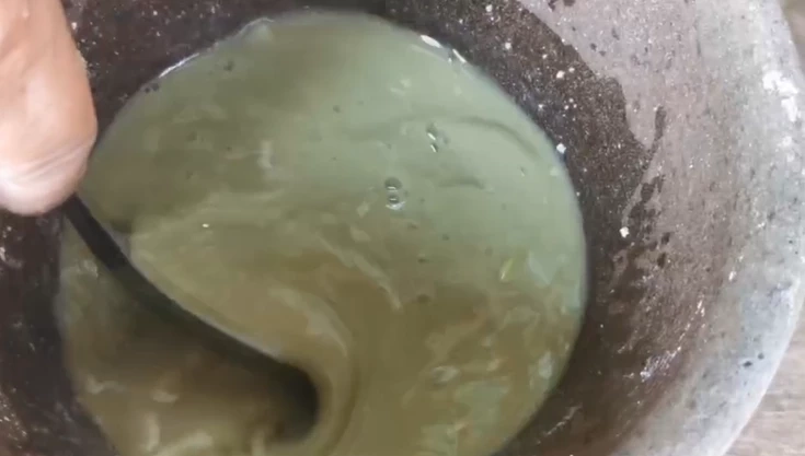 สุดว้าว! "แกงหน่อไม้ใส่ใบตดหมา" ช่วยล้างพิษไซยาไนด์ แถมเพิ่มพลังปึ๋งปั๋ง