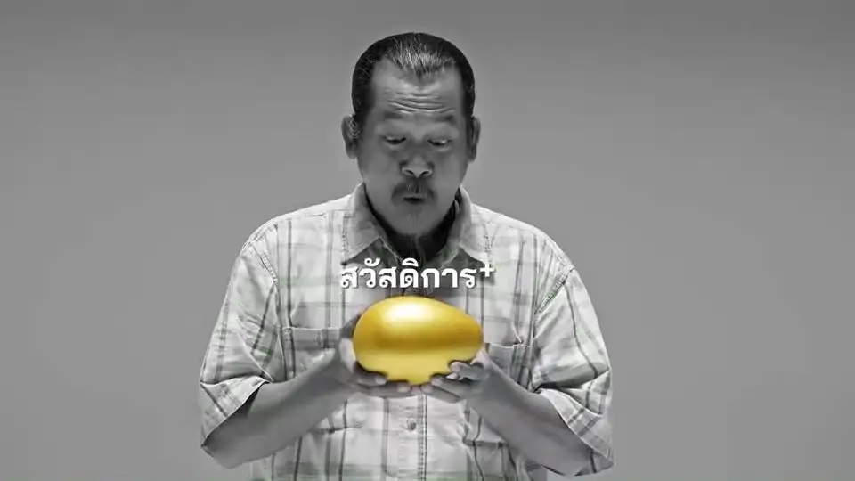 "รทสช." ปล่อยคลิป "ห่าน" สะท้อนนโยบายช่วยปชช.พุ่งเป้าไม่หว่านแห (มีคลิป)
