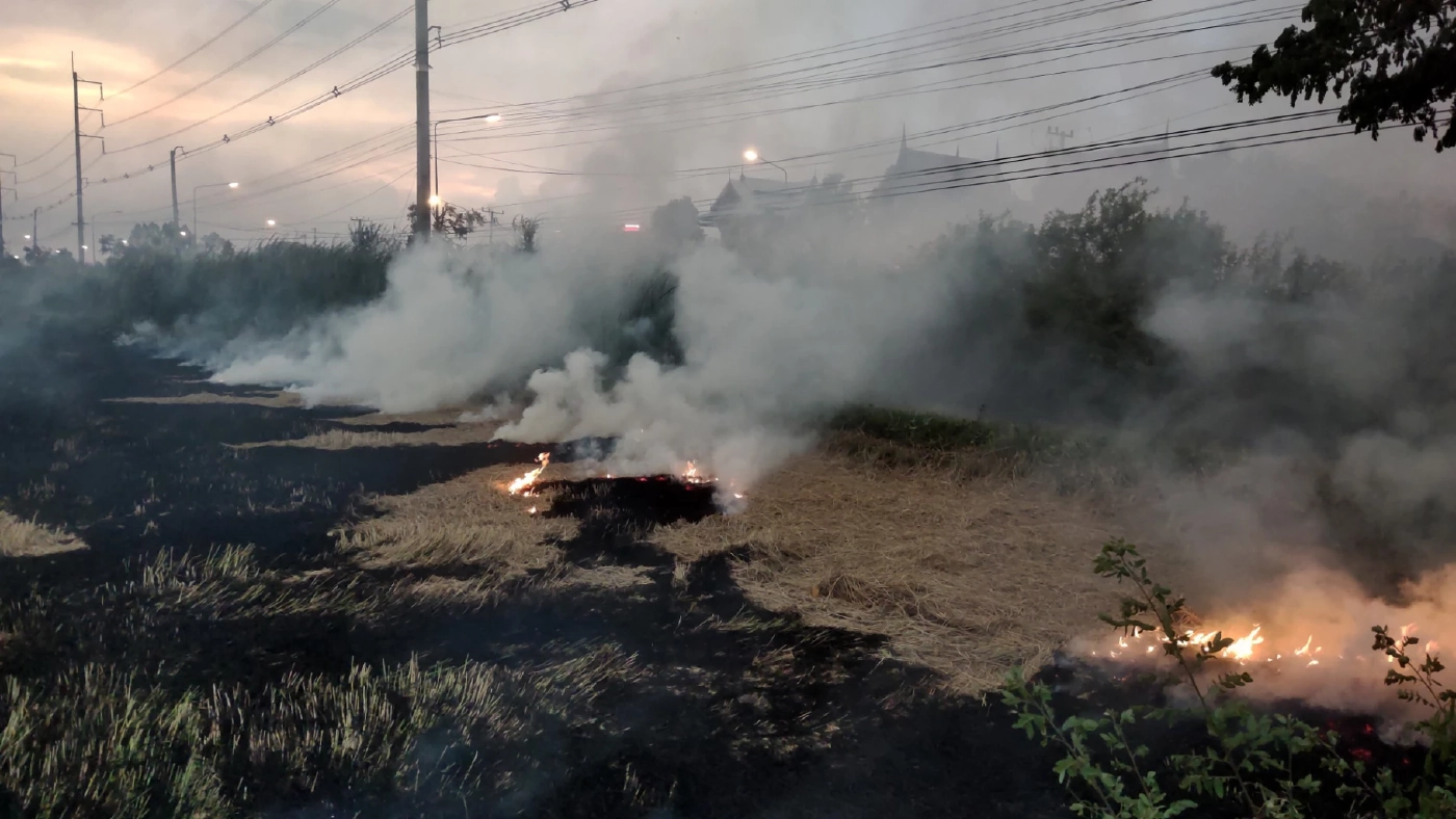 บอกแล้วห้ามเผา ชาวนาสุพรรณเผาฟางข้าวข้างทาง ควันตลบถนนรถชนกันยับ