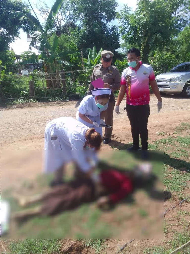 ชายคลั่งดักยิงคนแก่ หน้า รร. ลูกชายจะพาแม่ไป รพ. เจอไล่ยิง-เผารถวอด