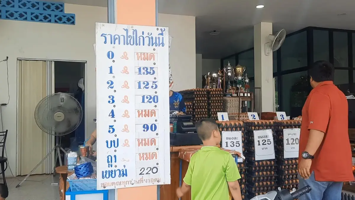 ต้อนรับรัฐบาลใหม่ ราคาไข่ไก่อุทัยธานีขึ้น ชาวบ้านทยอยซื้อตุนไว้ก่อน