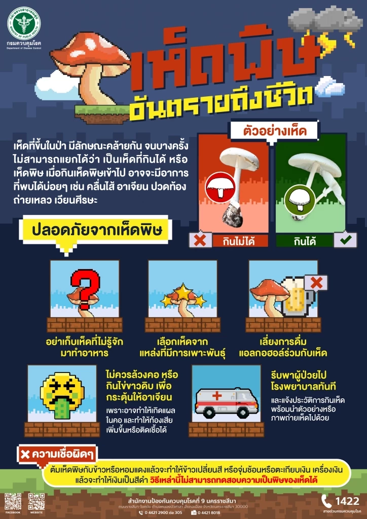 แพทย์เตือนหน้าฝน ระวังเก็บเห็ดพิษมาบริโภค เสี่ยงอันตรายถึงชีวิต