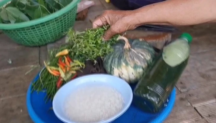 สุดว้าว! "แกงหน่อไม้ใส่ใบตดหมา" ช่วยล้างพิษไซยาไนด์ แถมเพิ่มพลังปึ๋งปั๋ง