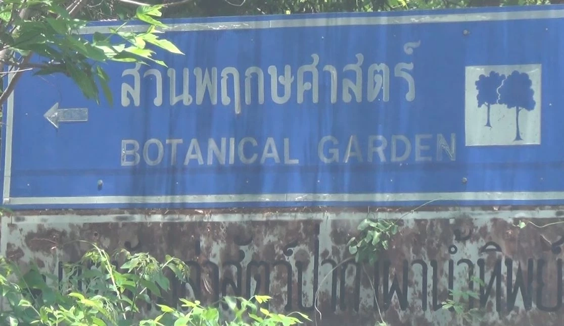 งามไส้! ไอ้โม่ง 30 คน บุกปล้นไม้พะยูงของกลาง จากสวนพฤกษศาสตร์ จ.ร้อยเอ็ด