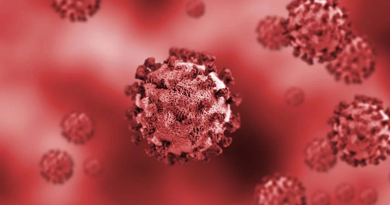 "หมอธีระ" เผยผลการศึกษา โอมิครอนสายพันธุ์ย่อย XBB.1.16 ล่าสุดจากญี่ปุ่น   