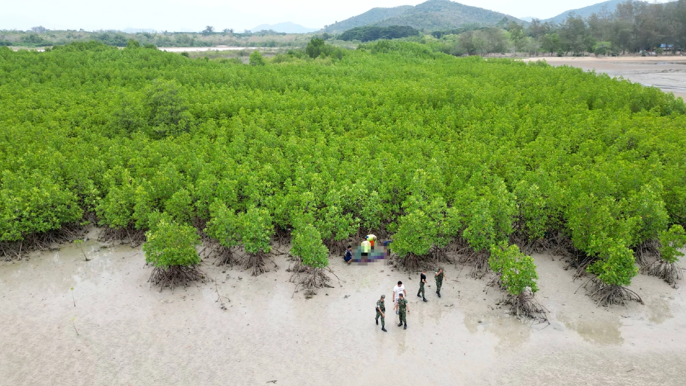 พบแล้ว ร่างลูกเรือประมง พลัดตกเรือจมทะเลสูญหาย เกยติดป่าโกงกางสัตหีบ