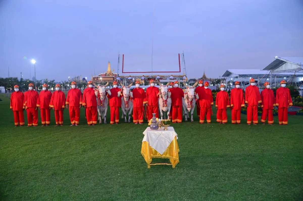 พระยาแรกนา เทพีคู่หาบ ทำพิธีล้างมือพระยาแรกนาและเจิมหน้าพระโค