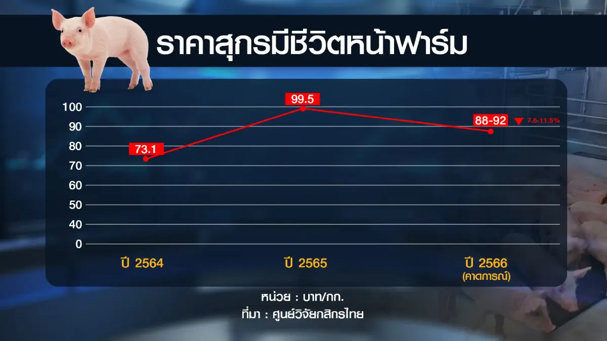 ผู้เลี้ยงหมูอ่วม หลายปัจจัยรุมเร้า 'ราคาดิ่ง-ต้นทุนพุ่ง'