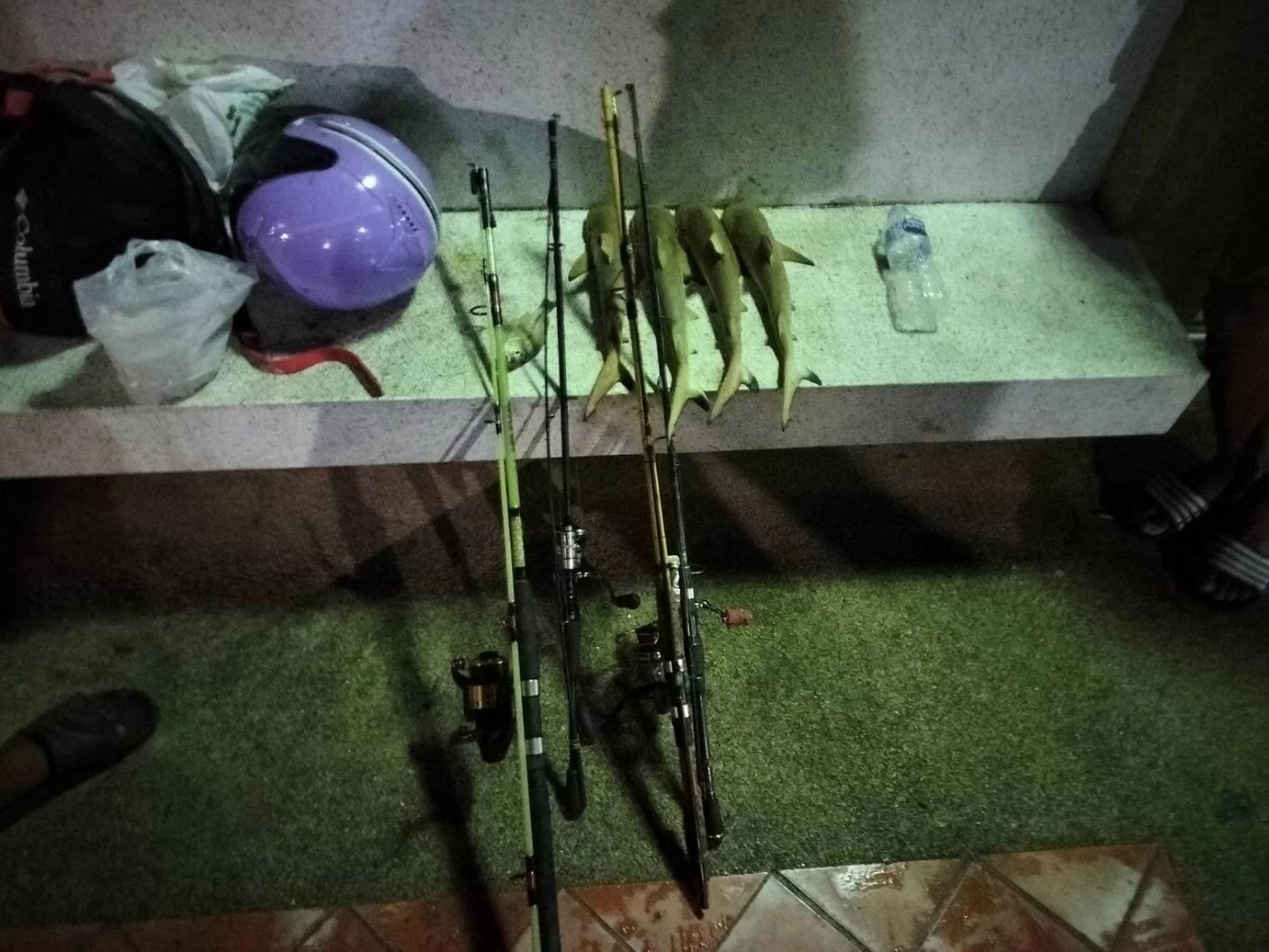 กรมทะเลชายฝั่ง จับหนุ่มตกฉลามหูดำ หน้าศูนย์วิจัยทรัพยากรทางทะเลฯ ภูเก็ต