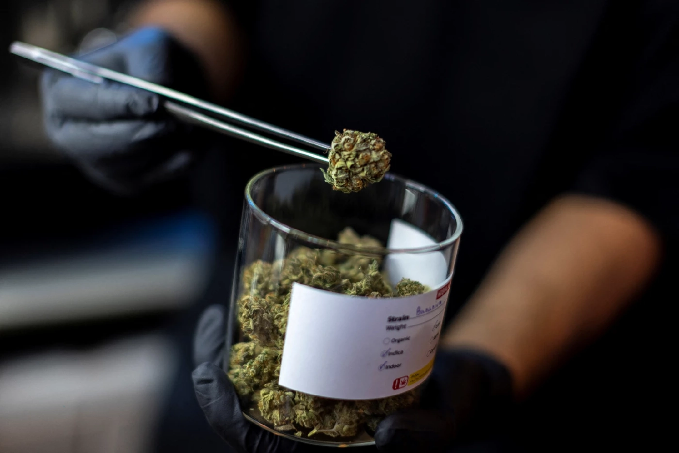 บีบีซีเจาะข่าว ไทยแลนด์แดนมหัศจรรย์ของกัญชา